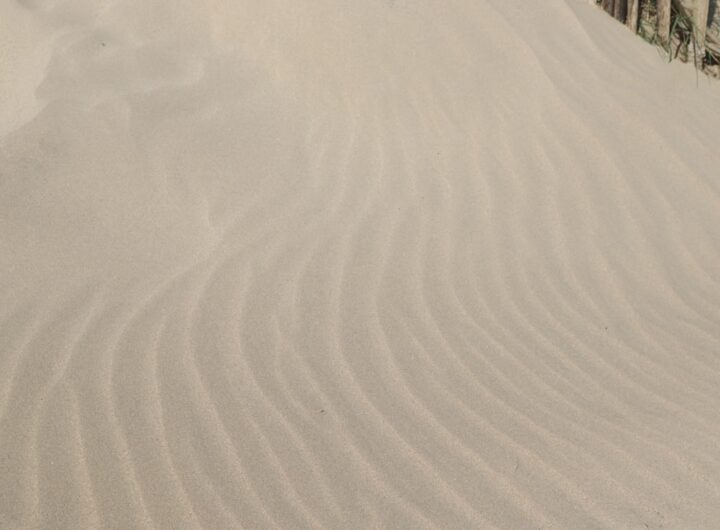 Photo tocanita rapida cu pui