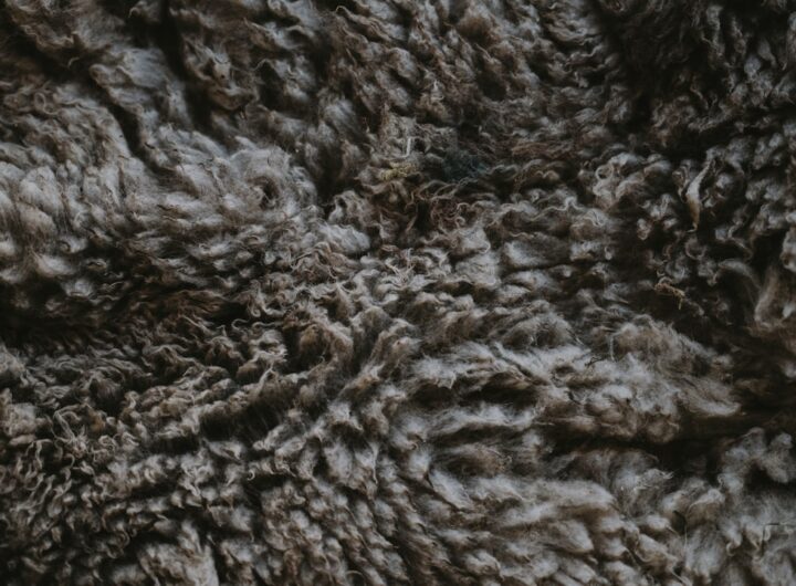 Photo clatite pufoase