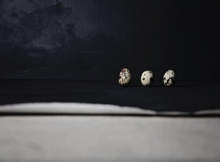 Photo rulade pufoase