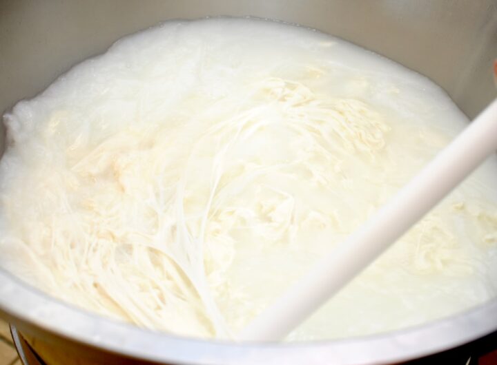 Photo blaturi de tort