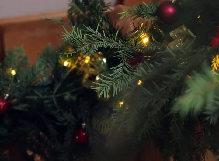 Photo Torturi festive