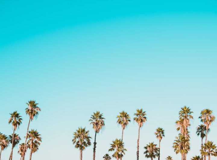 Photo Ganache-ul de ciocolată