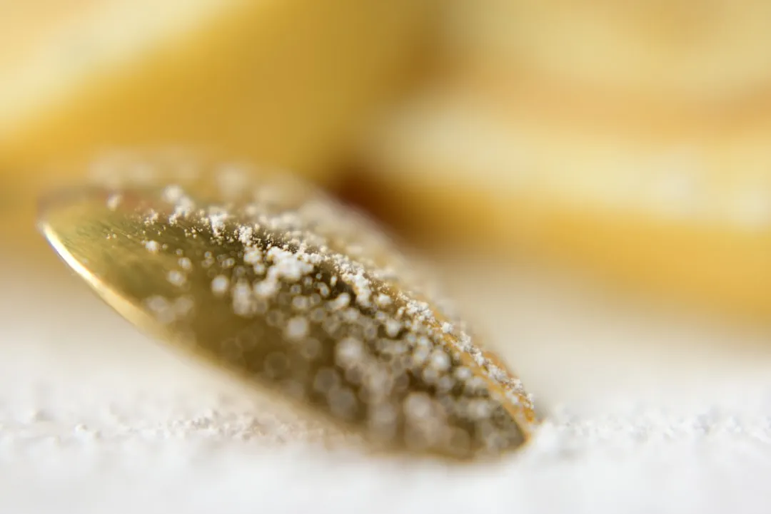 Photo Pâte Sablée