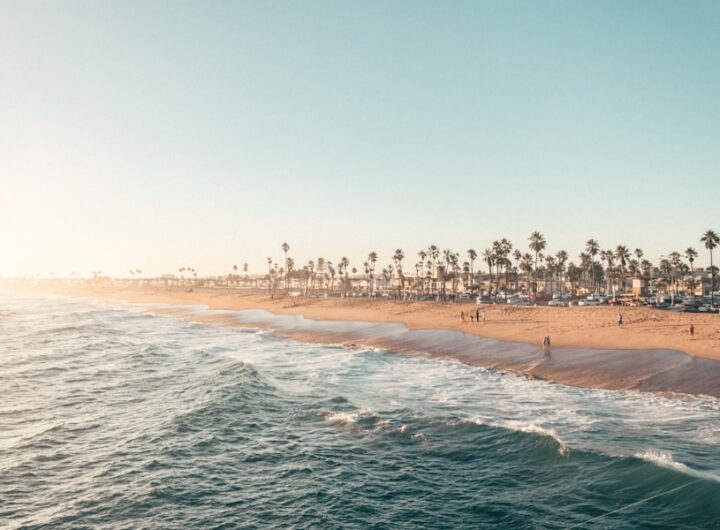 Photo crema Diplomat