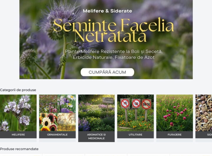 Plante aromatice și medicinale de grădină: ce specii se seamănă din sămânță și cum reușesc