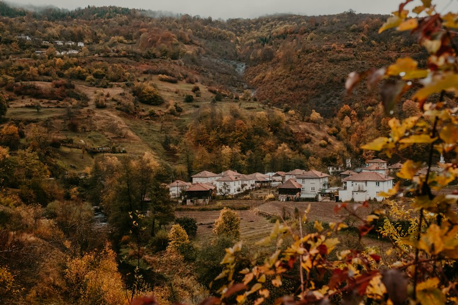 cofetării