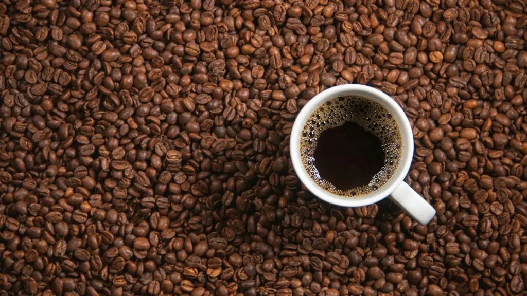 Photo quality coffee guide experts data