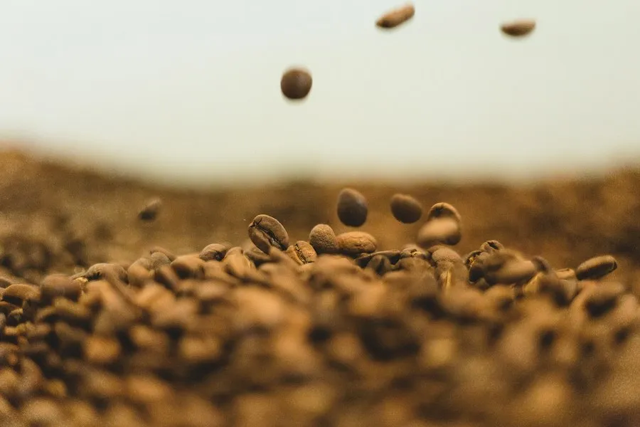 Photo quality coffee beans brewing