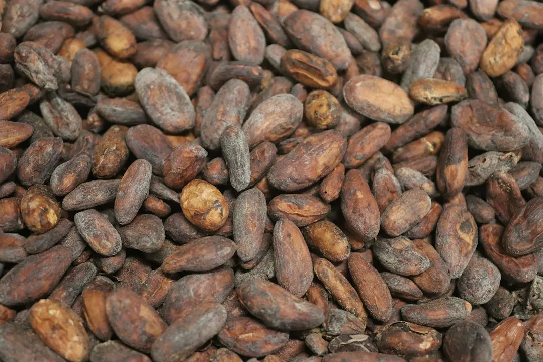 Photo Dutch process cocoa vs natural cocoa